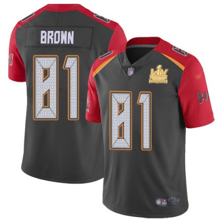 Nike Buccaneers #81 Antonio Brown Gray Men's Super Bowl LV Champions Patch Stitched NFL Limited Inverted Legend Jersey