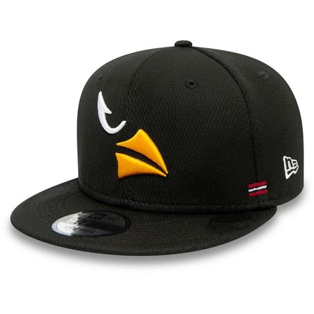 Arizona Cardinals Snapback Hat